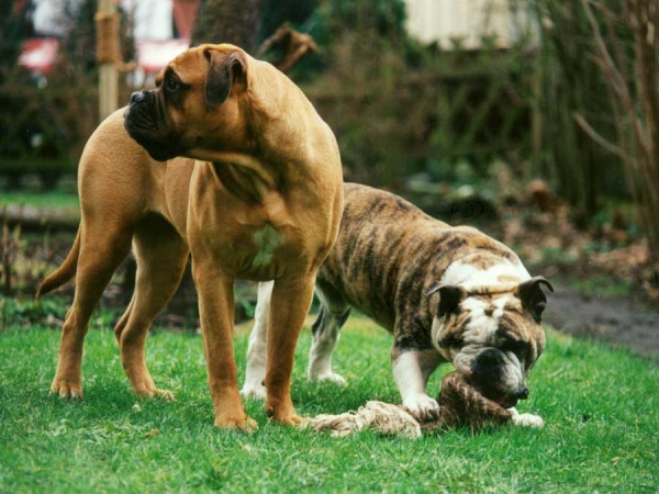 peter-bucker-paulbonnie