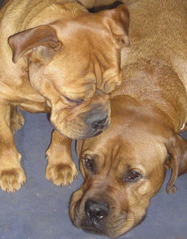 peter-bucker-rudi-lotte